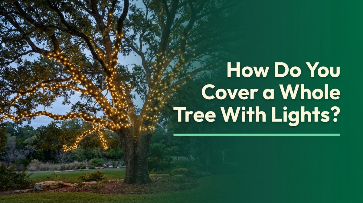 Outdoor Christmas lights wrapped around a tree trunk in even spirals
